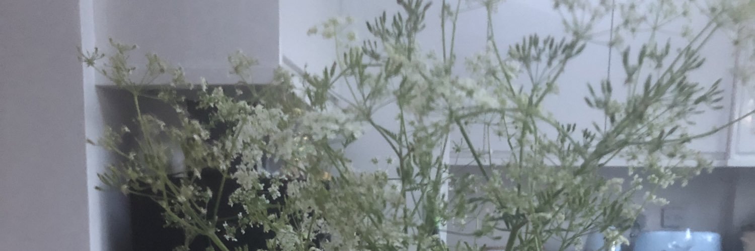 Vicskinndog's profile banner image