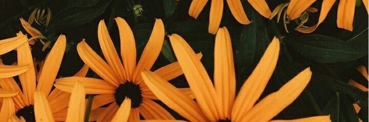 itsabelisA's profile banner image