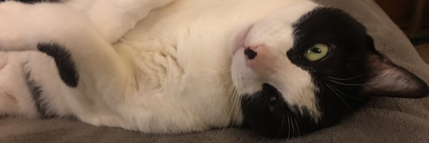 TheKrisCramer's profile banner image