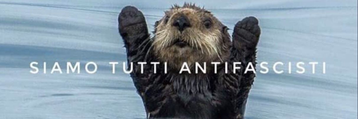 Anti-fascista che ama i 🐈‍⬛ banner