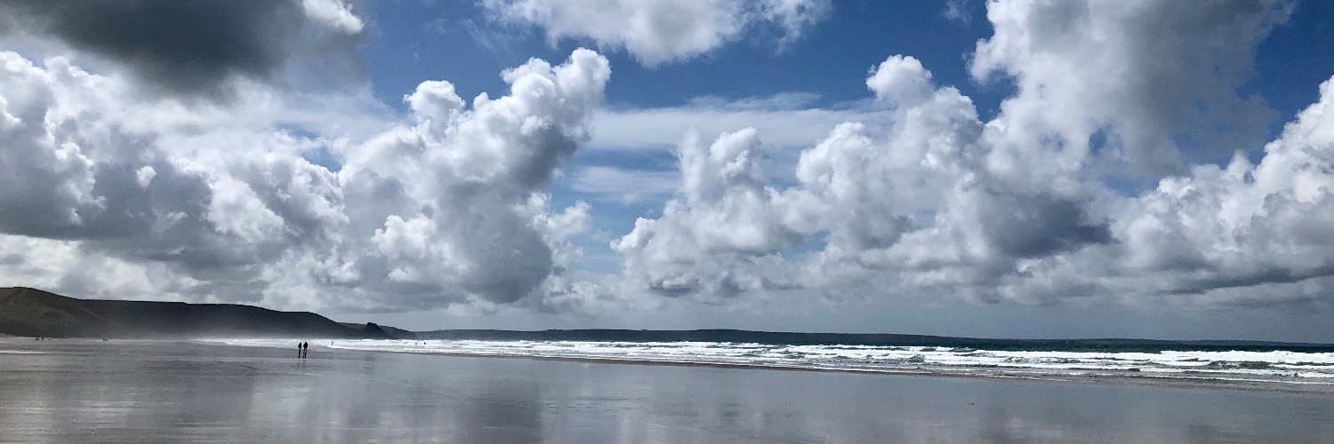 Alison Fiander banner