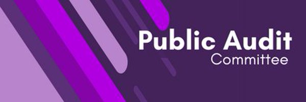 SP_PublicAudit Profile Banner