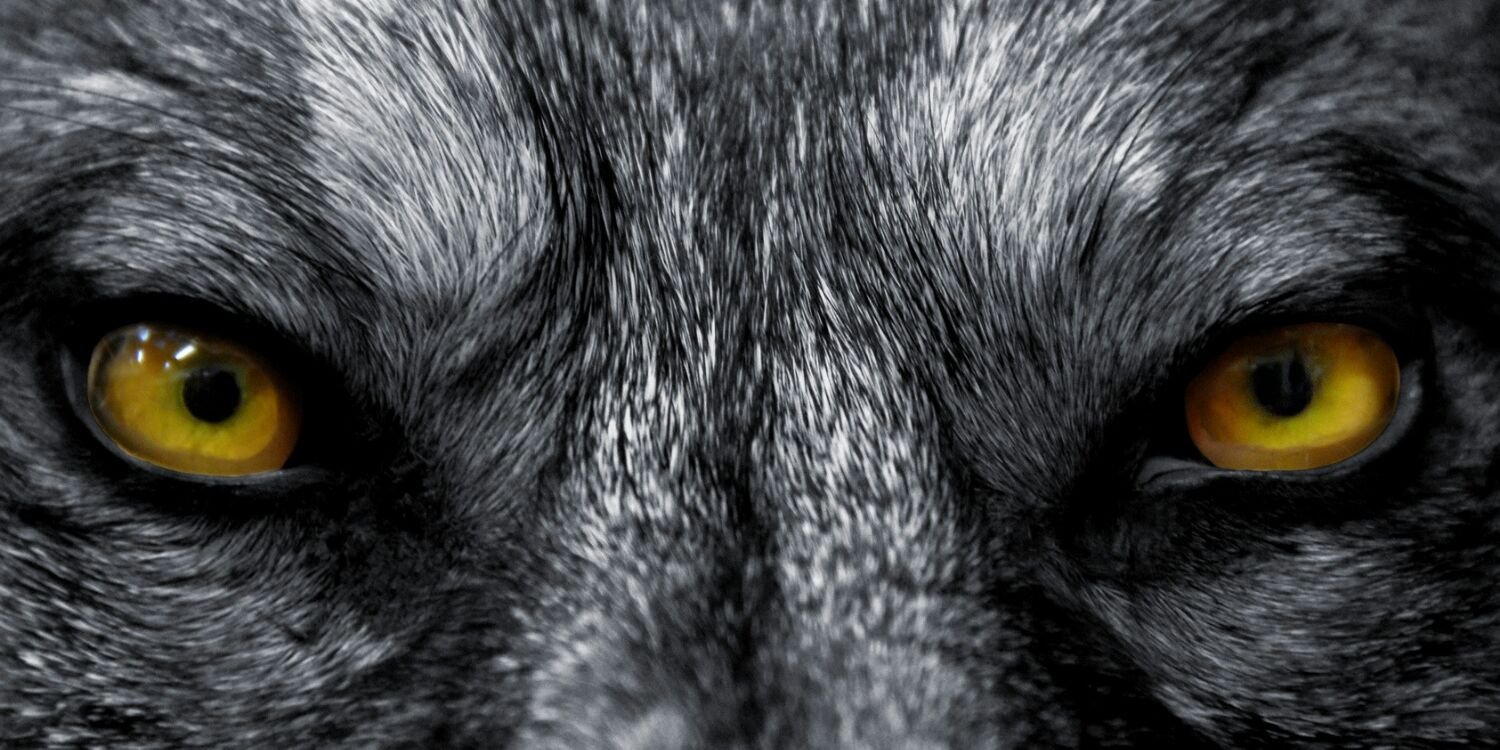 aryobetet's profile banner image