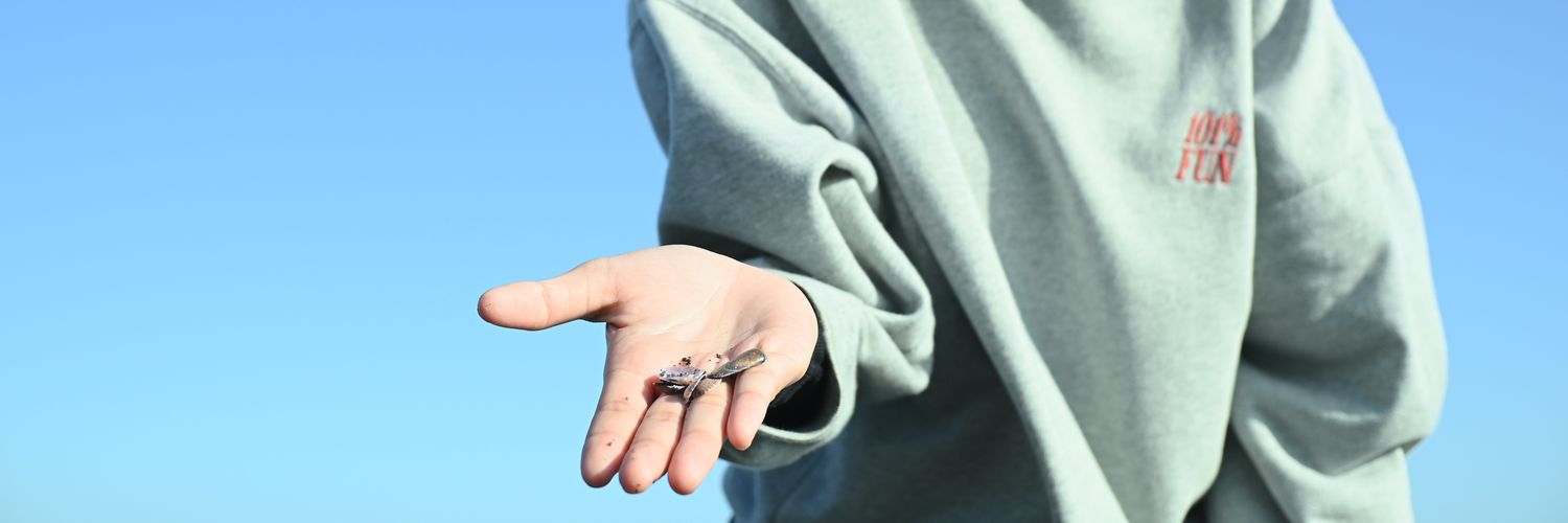 rananthawl's profile banner image