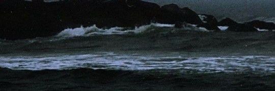 tf_lly's profile banner image