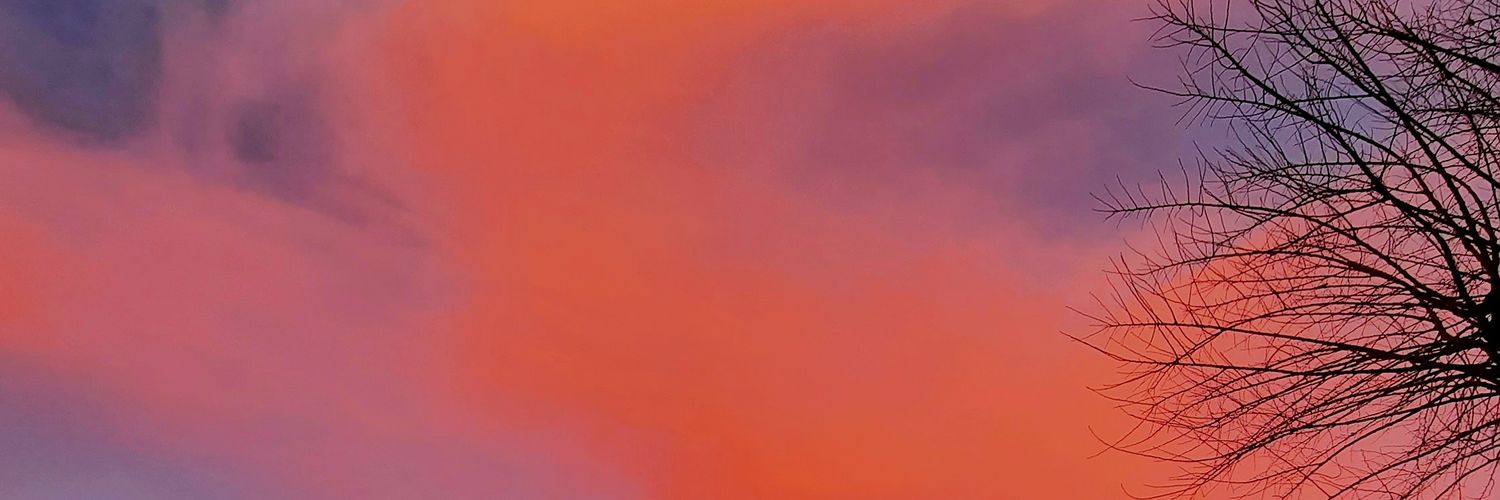 sofi_correea's profile banner image