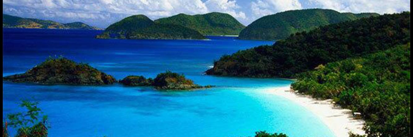 1PurpleTulip's profile banner image