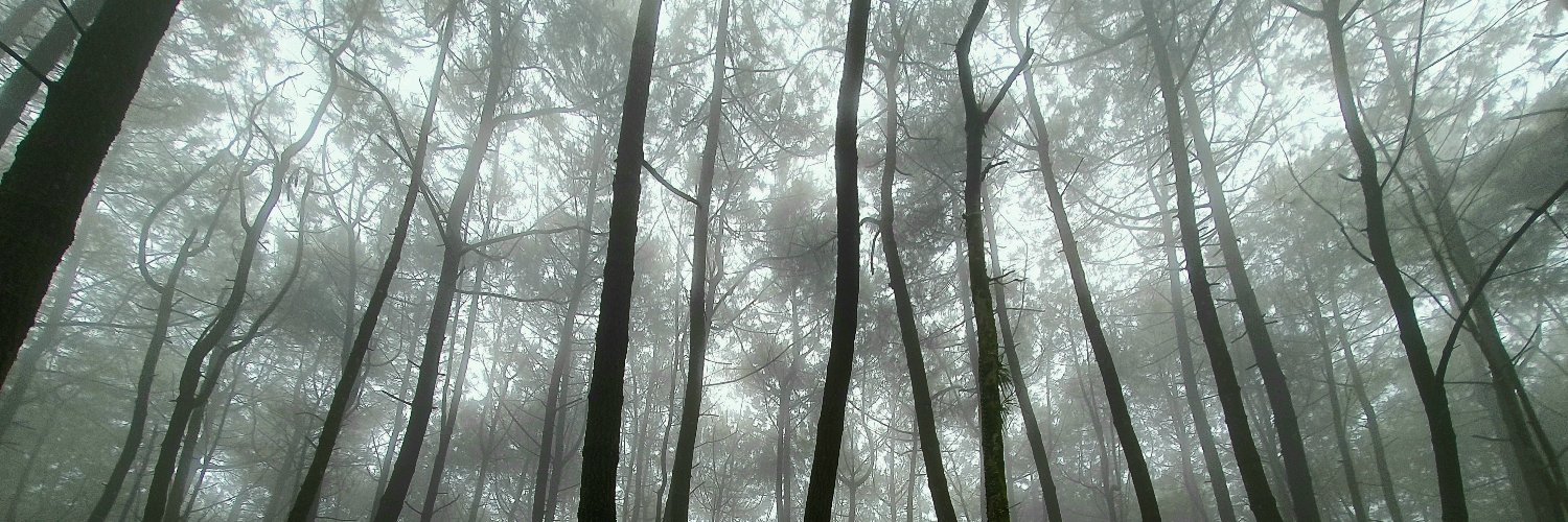 WillyTanFes's profile banner image