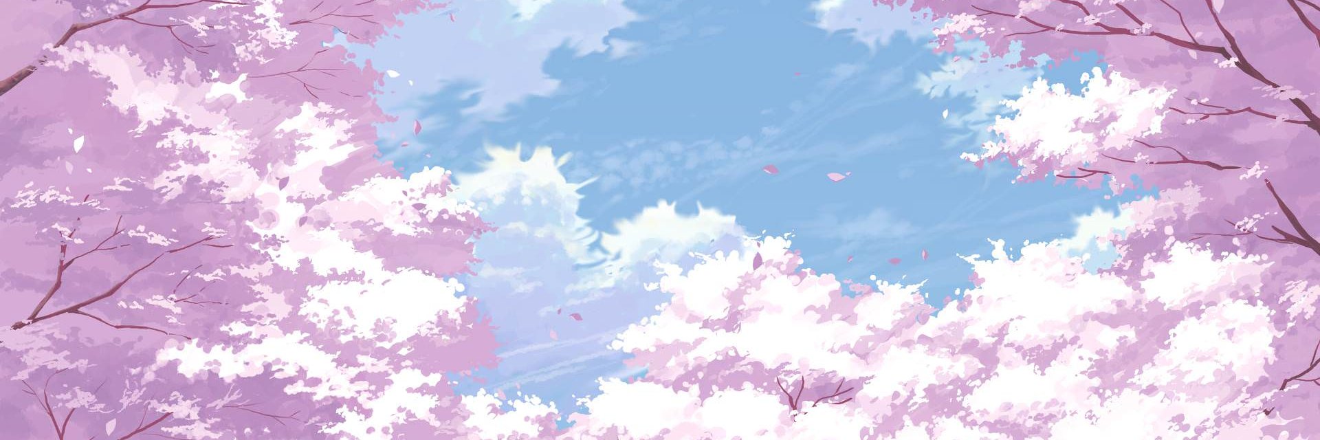 CulllenB's profile banner image