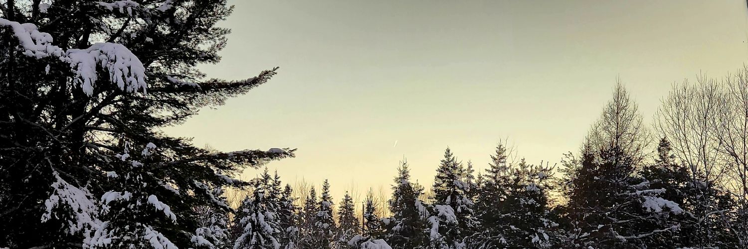 MmeLuce's profile banner image