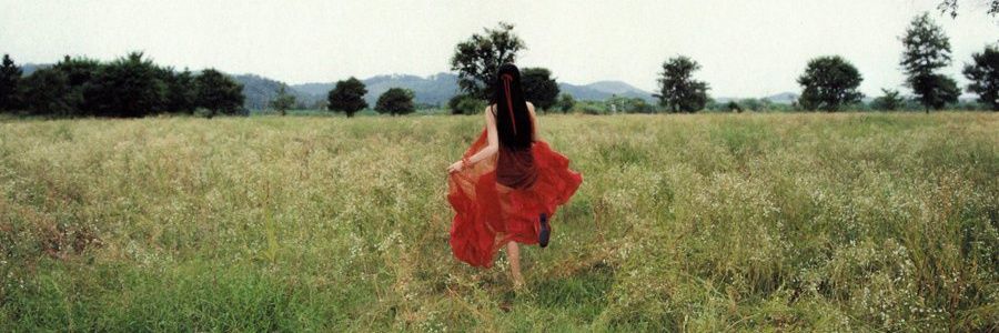 ⋆ ᐢ..ᐢ ⋆ banner