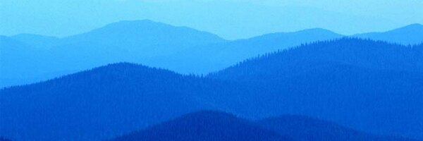 lala_zet Profile Banner