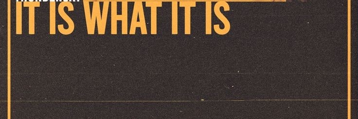 Stinger Splash 🦂 banner