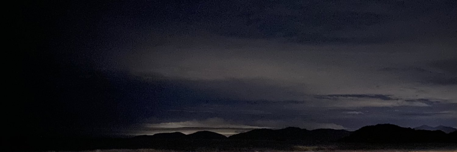 melgnzu's profile banner image
