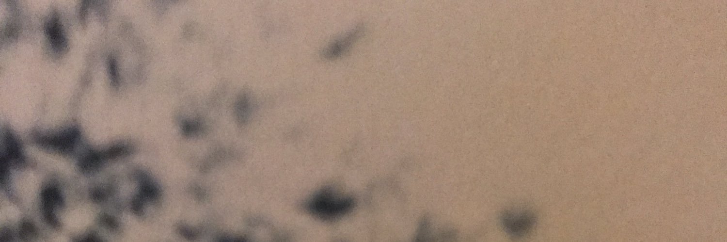 tdreisert's profile banner image