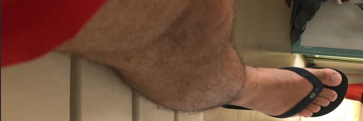 batard banner