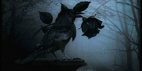 alxbog's profile banner image