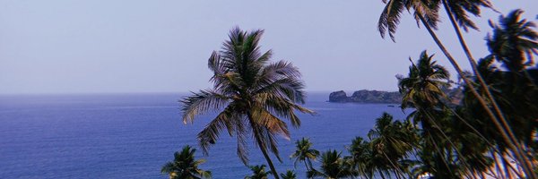 TorunikaR Profile Banner