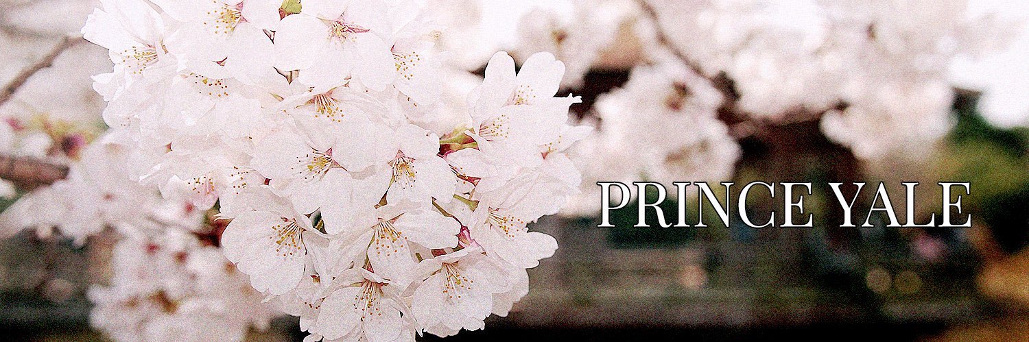 👑 𝑷𝑹𝑰𝑵𝑪𝑬 𝒀𝑨𝑳𝑬 👑 banner