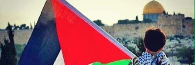SabreenMousa10's profile banner image