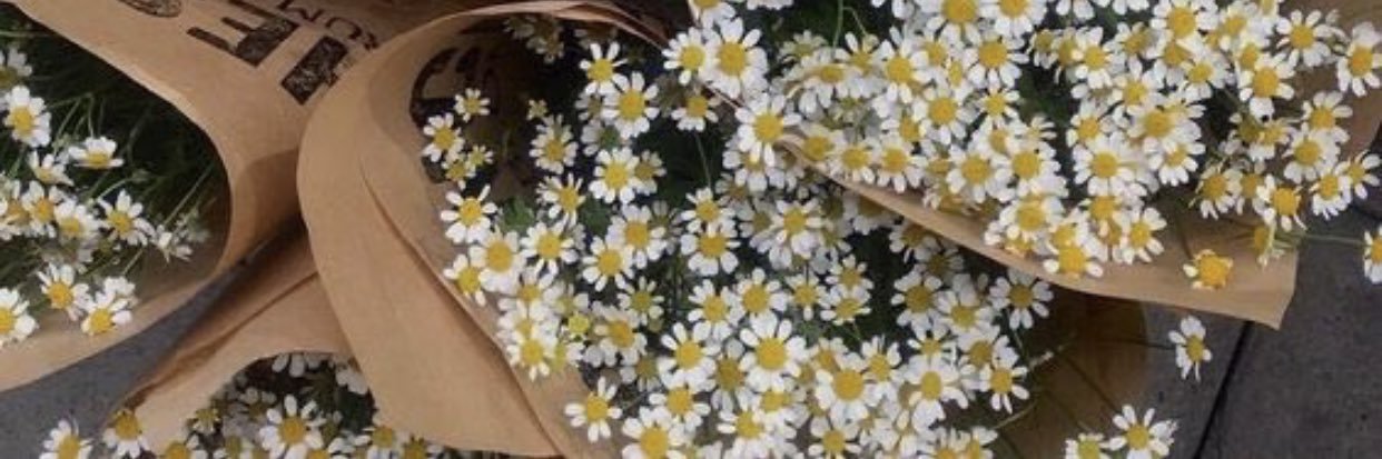 dlkplt_'s profile banner image
