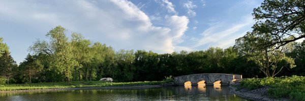 DaliaZubidat Profile Banner