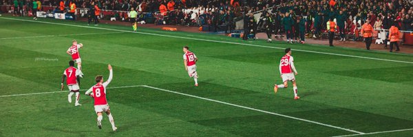 DingoAfc Profile Banner