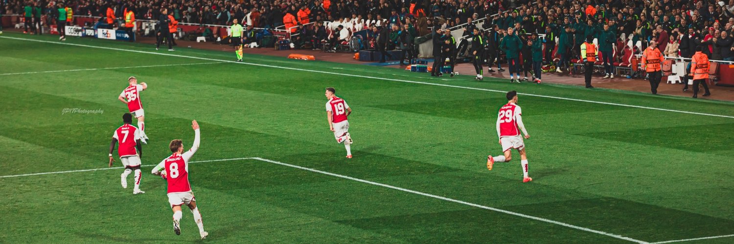 DingoAfc's profile banner image