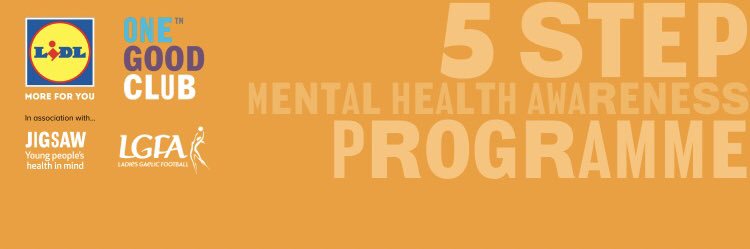 Ballyduff Upper LGFA banner