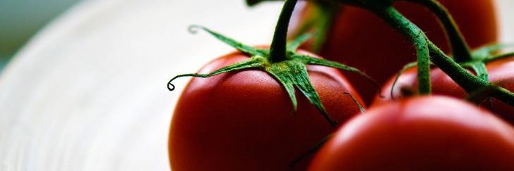VeganBits's profile banner image