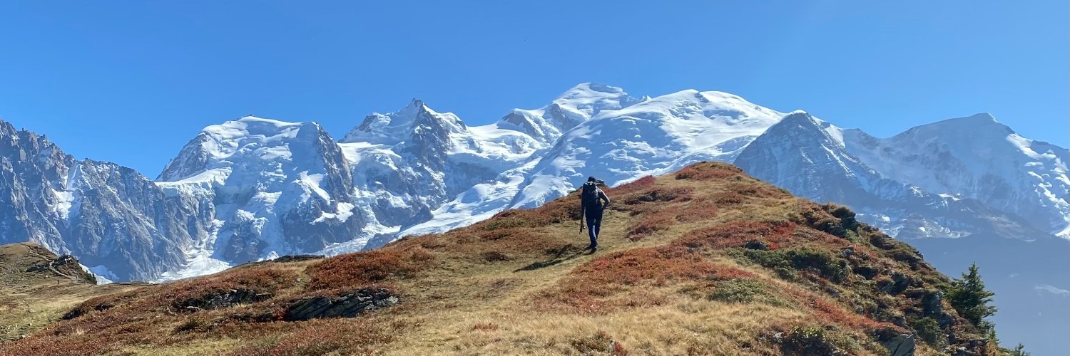 The Institutional Limited Partner banner