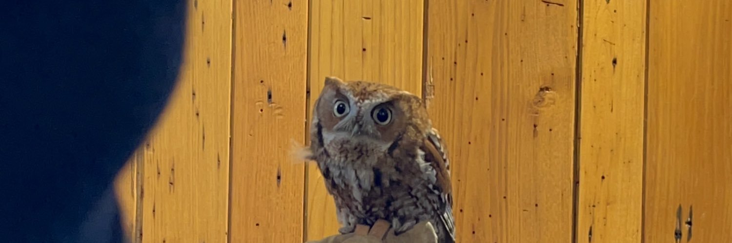 AlyTannerRadio's profile banner image