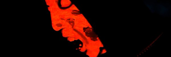 Bigg_paradise Profile Banner
