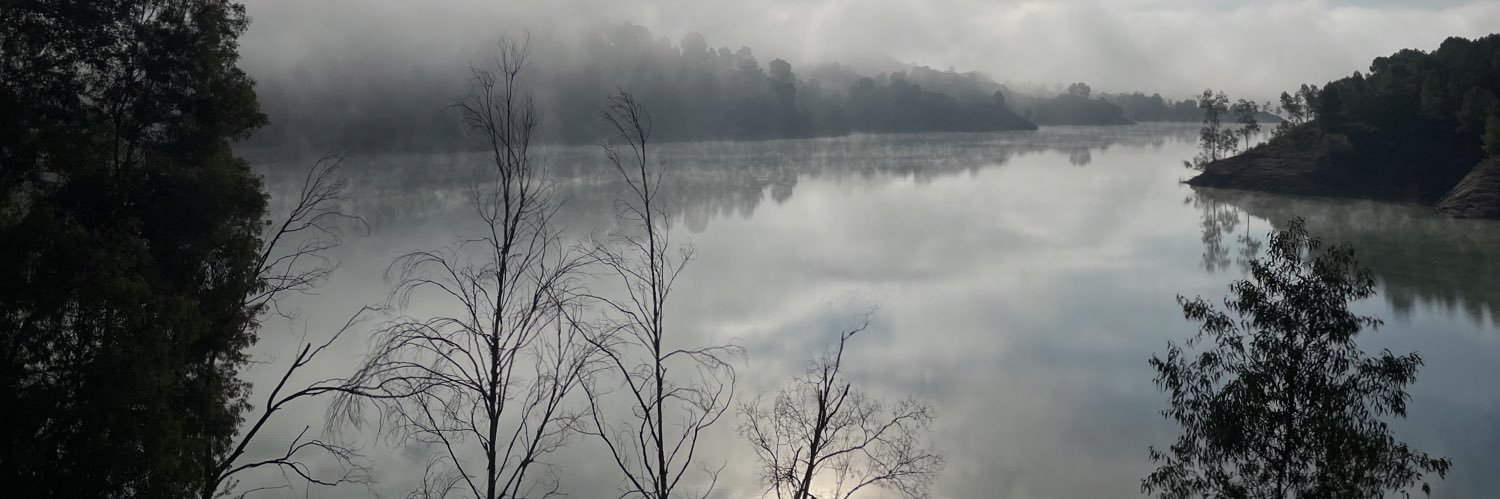 RAMON PALAZON banner