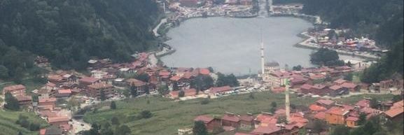 Alwaafi_k's profile banner image