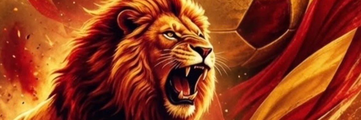 rozaadrk's profile banner image