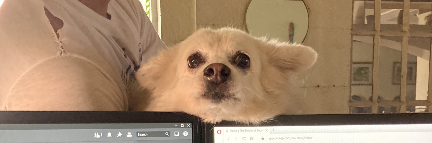 hannahddonato's profile banner image