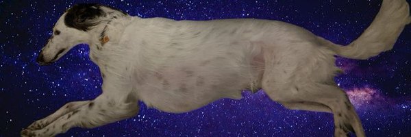 VinceInBC Profile Banner