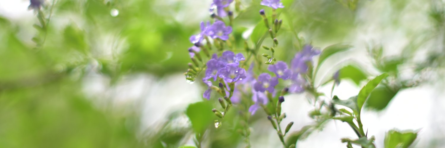 cifat32's profile banner image