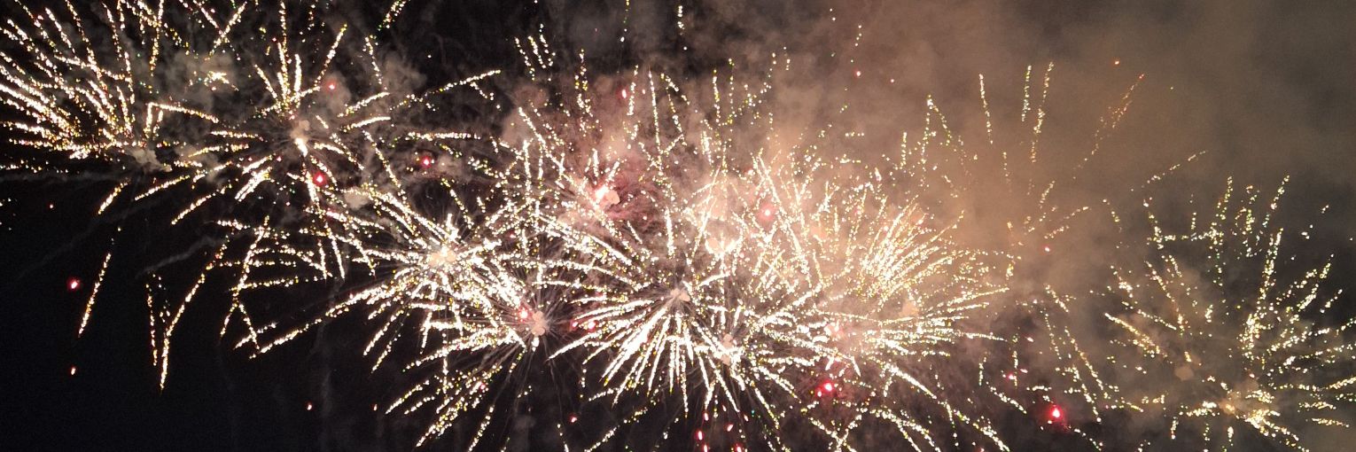 renuary's profile banner image