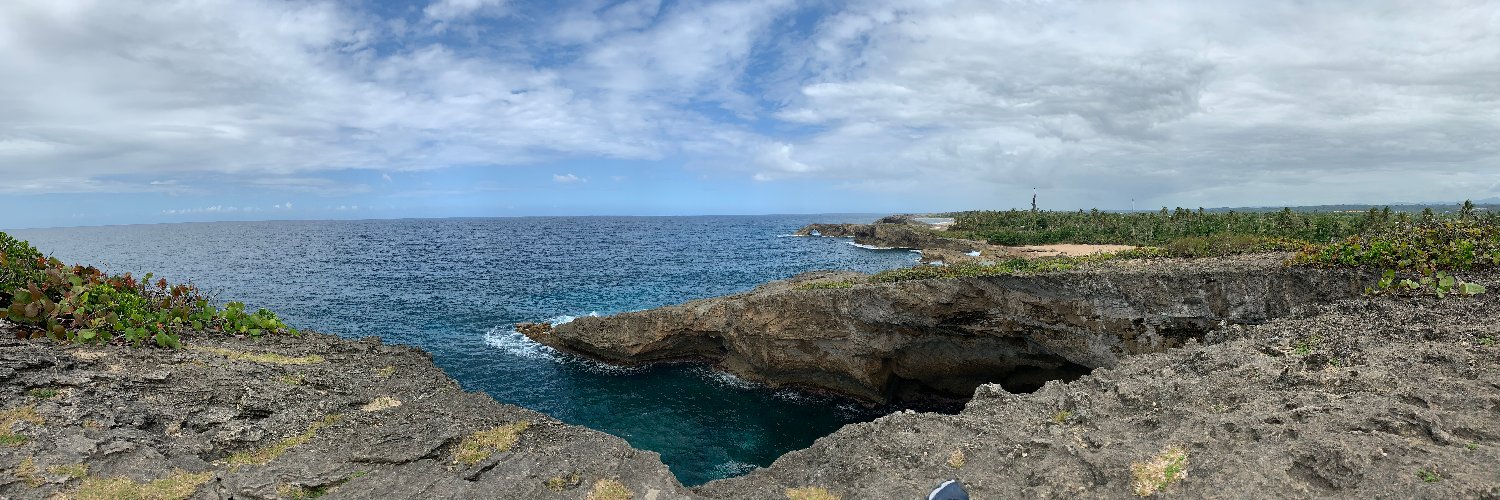 Cailin Gonyea banner