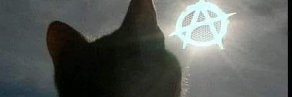 Antisistema 🖤🖤🏴's banner