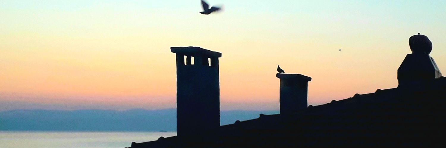 mefturtavvafe's profile banner image