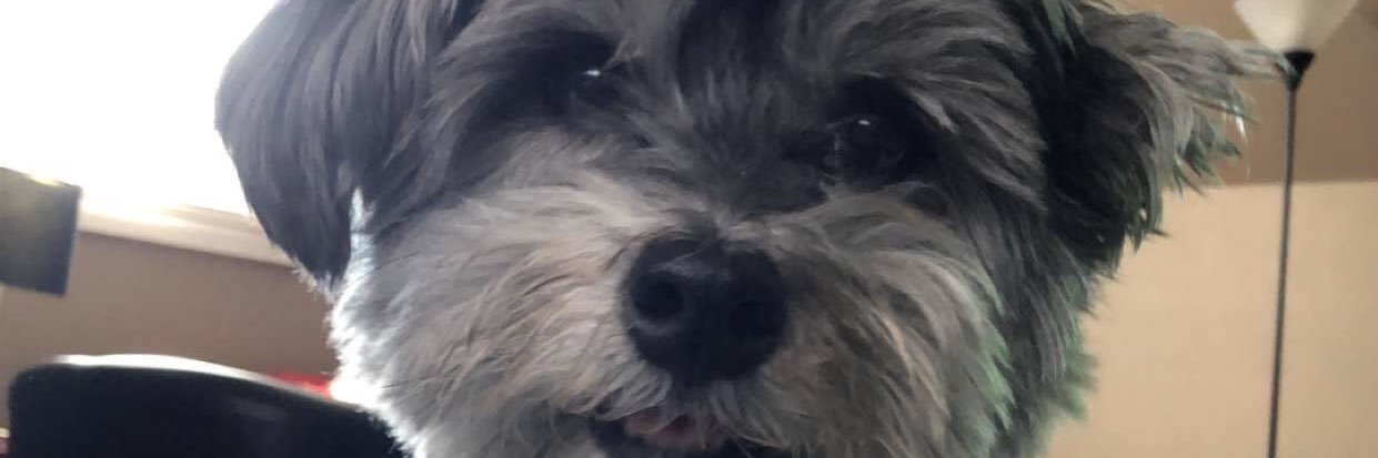 chefaaron_jesse's profile banner image