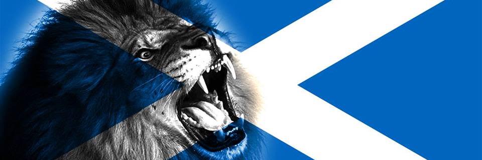 Madgalgolfer 💙 🏴󠁧󠁢󠁳󠁣󠁴󠁿🎗️🏴󠁧󠁢󠁳󠁣󠁴󠁿 💙 banner