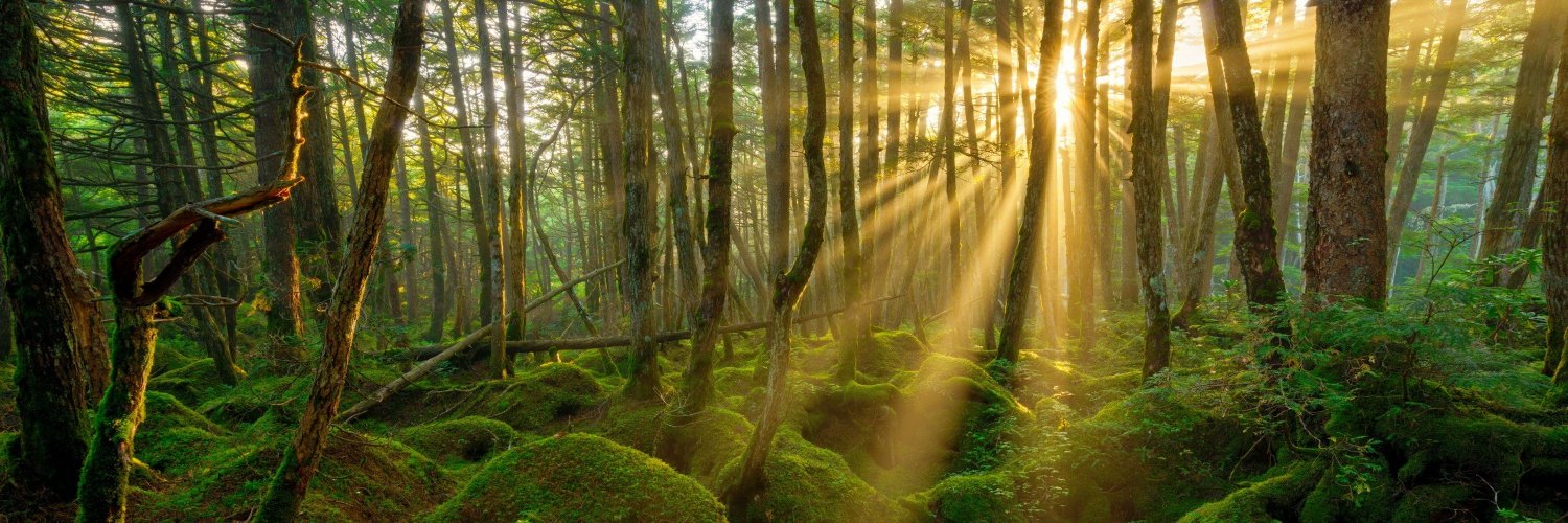 Natalia Velázquez. banner