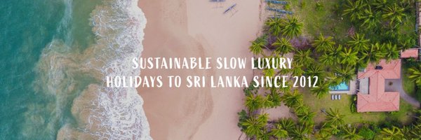 ayuinthewild Profile Banner