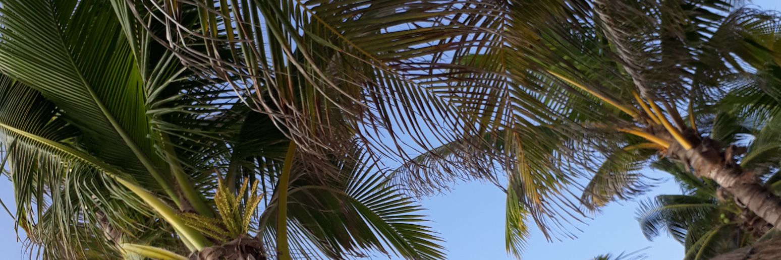 luisinardgs's profile banner image
