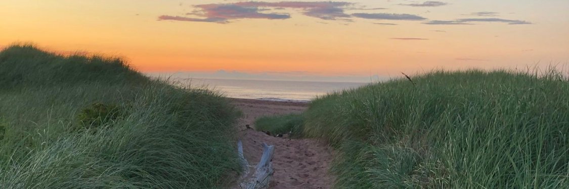 PEIPharmacists's profile banner image