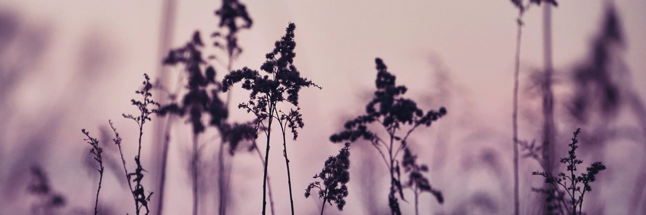 Emily βennett banner